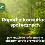 Nietoperze w Lubaczowie: spotkanie „Las do góry nogami” przełożone na 14 września