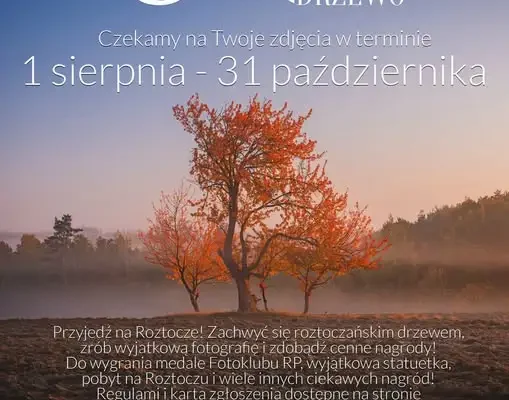 Roztocze w jesiennej odsłonie: trwa konkurs na najpiękniejsze drzewo