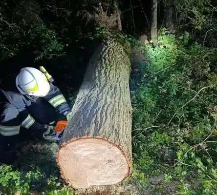 Nocna akcja strażaków na trasie Łukawica – Chlewiska. Drzewo zablokowało drogę